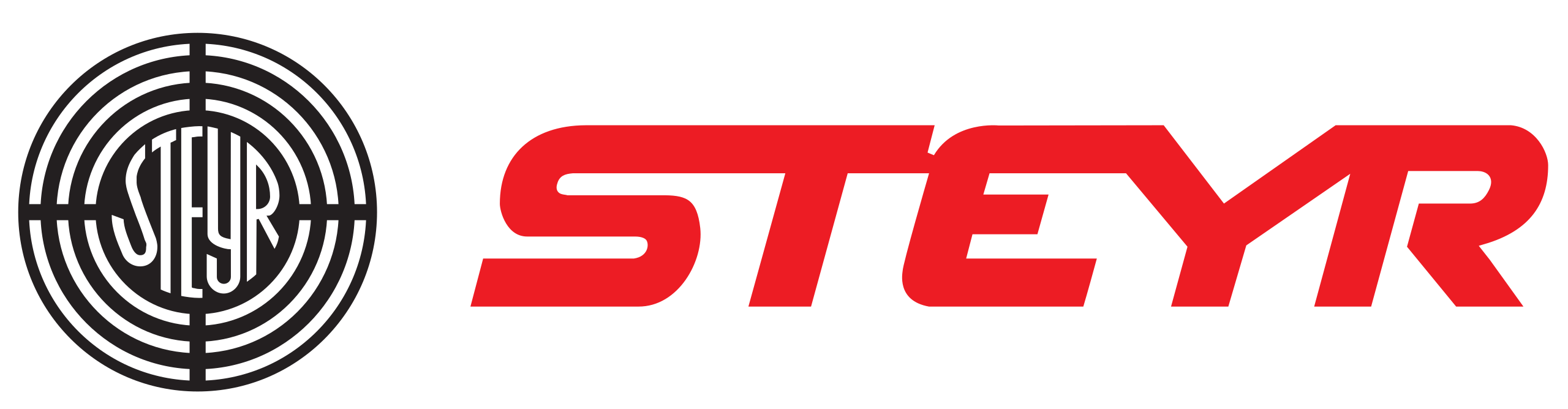  Steyr Arms